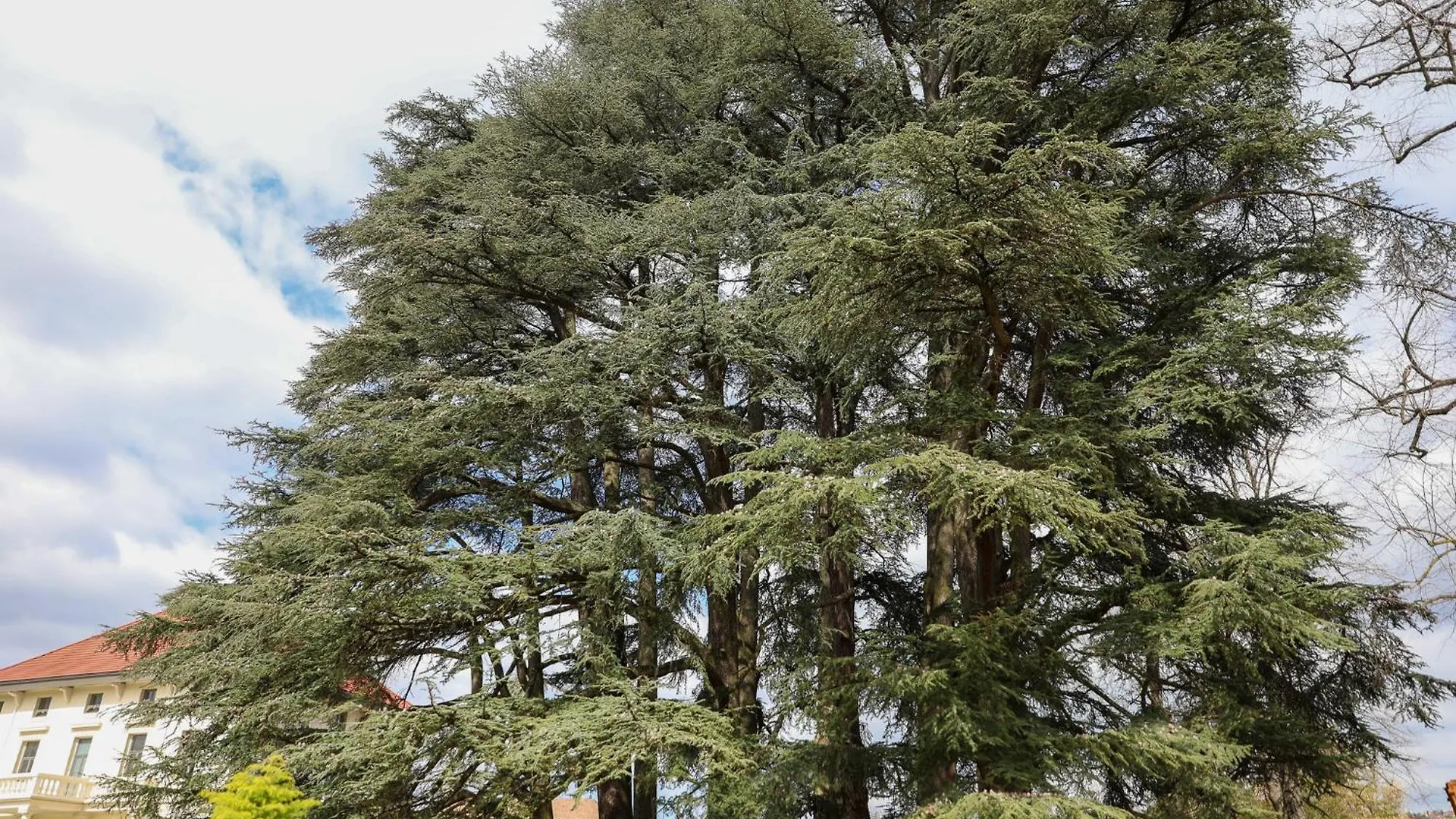Hotel Sequoias Golf & Ressort à Ruy-Montceau 4*,  France